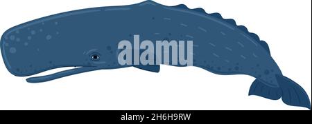 Cartoon-Wal-Cachalot, Pottwal. Unterwasserwelt, Meeresleben. Vektordarstellung eines Wals Stock Vektor