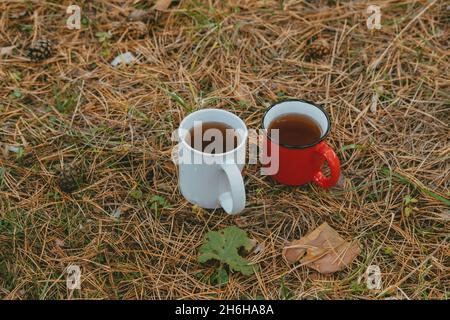 2 Tassen Tee im Wald, Draufsicht. Reisetee. Weihnachtliche Stimmung mit heißen Getränken, Platz zum Kopieren Stockfoto