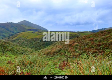 Qingtiangang Grassland im Taipei Yangmingshan Nationalpark, Taiwan. Stockfoto