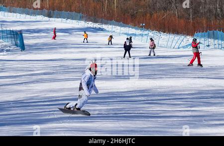 (211116) -- FUSONG, 16. November 2021 (Xinhua) -- Skifahrer genießen den Sport im Changbaishan Ski Resort in der nordöstlichen chinesischen Provinz Jilin, 15. November 2021. Nach dem jüngsten Schneefall und dem Temperaturrückgang hat in der nordöstlichen Provinz Jilin eine neue Skisaison begonnen. Jilin, mit reichen Eis- und Schneeressourcen, ist seit langem eines der beliebtesten Skigebiete des Landes. Aufgrund des in den letzten Jahren im ganzen Land steigenden Ski-Booms haben die Skigebiete in Jilin die Chance ergriffen, die Infrastruktur und Dienstleistungen zu verbessern. Während sich die Olympischen Winterspiele 2022 in Peking nähern Stockfoto