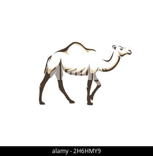 Illustration von arabischen Kamel Tier auf weißem Hintergrund Vektor Stock Vektor