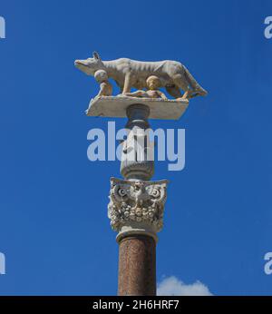 Römische Wölfin in Siena mit Romulus und Remus an der Säule.Toskana, Italien, Europa Stockfoto