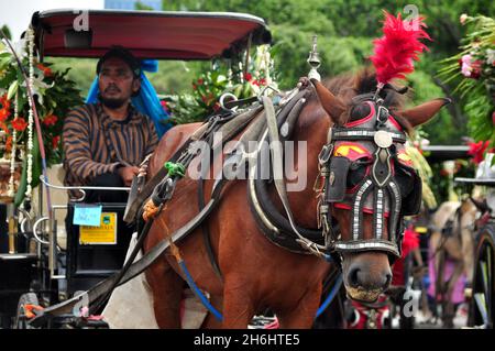 Yogyakarta, Indonesien - 12. August 2013 : Delman oder Andong die traditionelle Fahrzeug- oder Bodentransportausrüstung in Java, Indonesien. Es wird ein verwendet Stockfoto