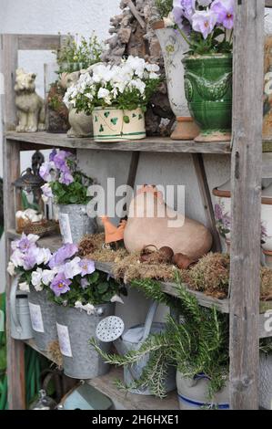 KLEVE, DEUTSCHLAND - 24. APRIL 2016: Gartenvignette im deutschen Garten Imig-Gerold im April Stockfoto