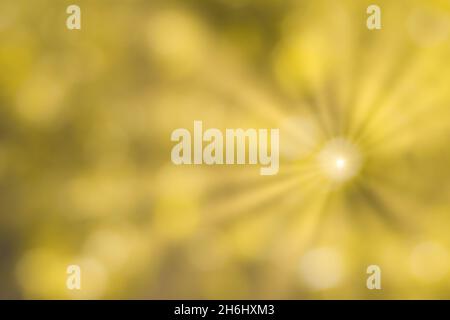 Unscharfes Bokeh-Hintergrundbild mit hellgelben Blättern und Sonnenstrahlen im Herbst. Abstrakter Hintergrund für Design. Stockfoto