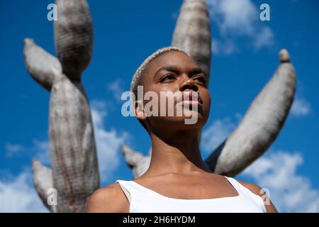 Von unten eine heitere afroamerikanische Frau mit kurzen Haaren, die im tropischen Park auf dem Hintergrund des drago-Baumes und des blauen Himmels steht, während sie wegschaut Stockfoto