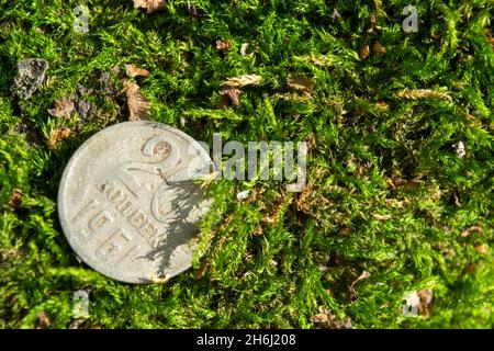 Alte Münzen im Wald auf grünem Moos Stockfoto