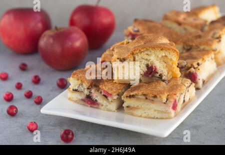 Hausgemachter Biskuit mit Preiselbeeren, quadratische Scheiben auf dem Teller, horizontaler russischer Apfelkuchen namens Sharlotka Stockfoto