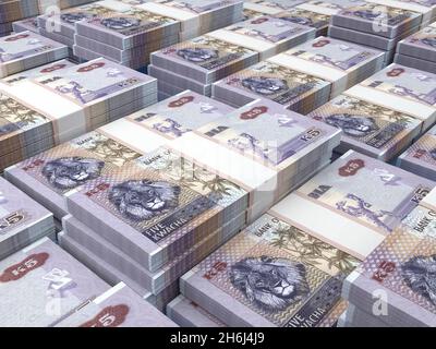 Geld von Sambia. Kwacha-Rechnungen. ZMW-Banknoten. 5 Bemba. Handel, Finanzen, Nachrichten Hintergrund. 3d-Illustration. Stockfoto