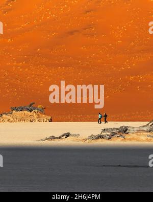 3 Touristen, Reisende, die auf einer weißen Tonpfanne hinter einer orangefarbenen Düne vor einem toten Baum spazieren. Deadvlei, Sossusvlei, Namibia, Afrika Stockfoto