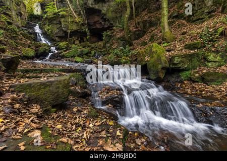 Herbst bei den Lumsdale Falls, gelegen entlang des Lumsdale Valley und nur einen kurzen Spaziergang von Matlock in Derbyshire entfernt, am Rande des Peak District National Park. Stockfoto