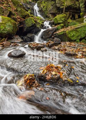 Herbst bei den Lumsdale Falls, gelegen entlang des Lumsdale Valley und nur einen kurzen Spaziergang von Matlock in Derbyshire entfernt, am Rande des Peak District National Park. Stockfoto