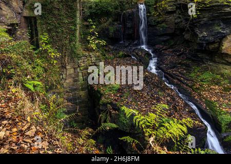 Herbst bei den Lumsdale Falls, gelegen entlang des Lumsdale Valley und nur einen kurzen Spaziergang von Matlock in Derbyshire entfernt, am Rande des Peak District National Park. Stockfoto