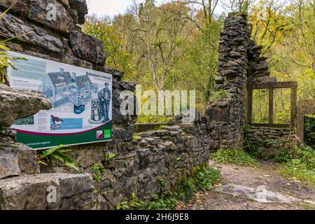 Ruinen des Batemans House in Lathkill Dale, Peak District National Park, Derbyshire, England. Stockfoto