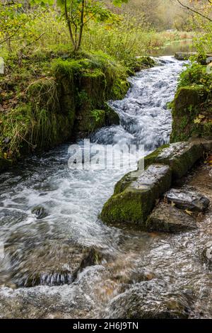 Ein malerisches Wehr über Kalksteinfelsen in der Nähe der Fischteiche, des Flusses Lathkill, Lathkill Dale, des Peak District National Park, Derbyshire, England. Stockfoto