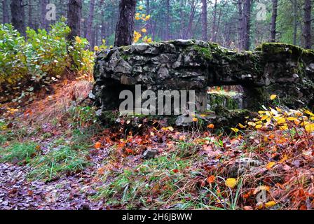 WWI. Friaul Julisch Venetien, italien. Italienischer Graben bei Quote 85, Detail der Schlupflöcher. Die selbstgesät Karst-Vegetation verbirgt den kleinen Zweifel bei der Quote 85. Stockfoto