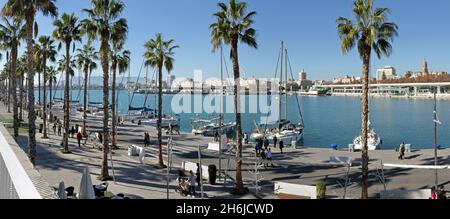 MALAGA, SPANIEN - 17. Jan 2019: Malaga, Spanien: Muelle One and Two, der wunderschön restaurierte zentrale Hafen, liegt im Zentrum der Stadt auf einem hellen Winz Stockfoto