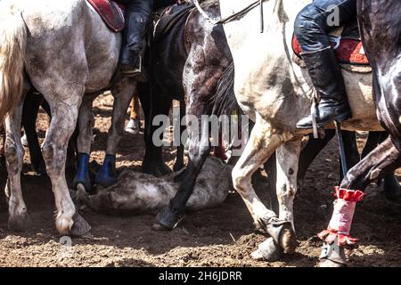 Kokboru, Asian Game Stockfoto