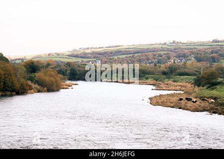 Die irische Grenze zwischen Strabane (NI) und Lifford (ROI), die den Fluss Foyle überquert. Stockfoto