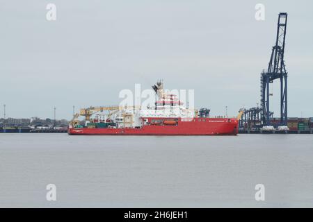 Harwich, Großbritannien. November 2021. Der RRS Sir David Attenborough, ein polares Forschungsschiff für den British Antarctic Survey, fährt von Harwich auf seine Jungfernfahrt in die Antarktis. Kredit: Eastern Views/Alamy Live Nachrichten Stockfoto