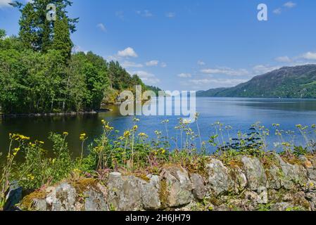 Blick auf Loch Ness von der südlichen Küste bei Fort Augustus, Caledonian Kanal, Boote, Inverness, Loch Ness, Highland, Schottland, Großbritannien Stockfoto