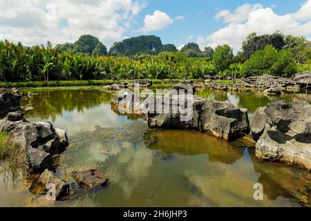 Typische erodierte Kalksteinaufschlüsse und See im Karstgebiet, Rammang-Rammang, Maros, Süd-Sulawesi, Indonesien, Südostasien, Asien Stockfoto