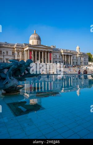 Blick auf die National Gallery und die Brunnen am Trafalgar Square, Westminster, London, England, Vereinigtes Königreich, Europa Stockfoto