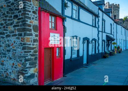 Ansicht des kleinsten Hauses in Großbritannien, Conwy, Gwynedd, North Wales, Vereinigtes Königreich, Europa Stockfoto