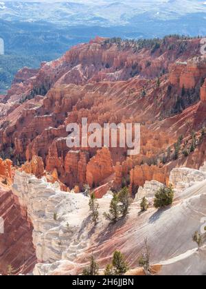 Ein Blick auf das Amphitheater vom Rand auf 10000 Fuß im Cedar Breaks National Monument, Utah, USA, Nordamerika Stockfoto