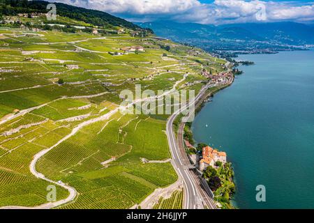 Luftaufnahme der Weinterrassen von Lavaux, UNESCO-Weltkulturerbe, Genfersee, Schweiz, Europa Stockfoto