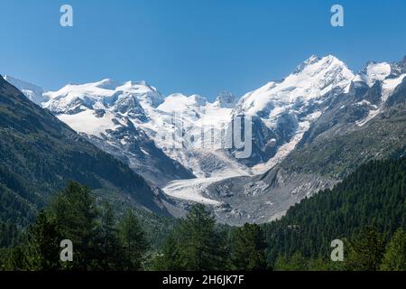 Piz Bernina und sein Gletscher, St. Moritz, Engadin, Graubünden, Rhätische Alpen, Schweiz, Europa Stockfoto