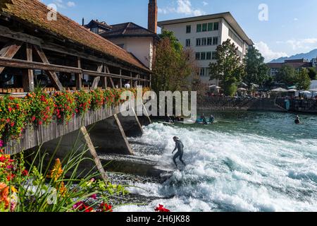 Surfer unter der Unteren Schleuse-Brücke Surfen auf der Aare, Thun, Kanton Bern, Schweiz, Europa Stockfoto