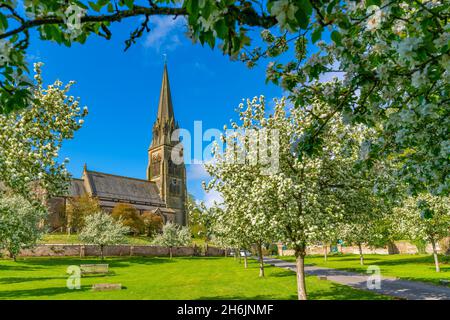 Blick auf die St. Peter's Church und die Frühlingsblüte, Edensor Village, Chatsworth Park, Bakewell, Derbyshire, England, Vereinigtes Königreich, Europa Stockfoto