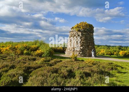 Culloden Battlefield, Cairn, Besucher bei Monument Cairn, dunkles Abendlicht, Bright Gorse, Inverness, Highland, Schottland, Großbritannien Stockfoto