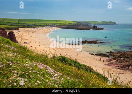 Thurlestone Sand und South Milton Sands Beach mit Thurlestone Rock, Thurlestone, South Hams District, Devon, England, Vereinigtes Königreich, Europa Stockfoto