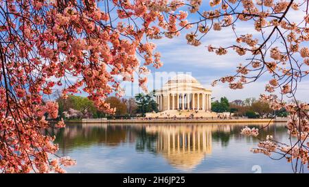 Washington, DC am Tidal Basin und Jefferson Memorial im Frühjahr. Stockfoto