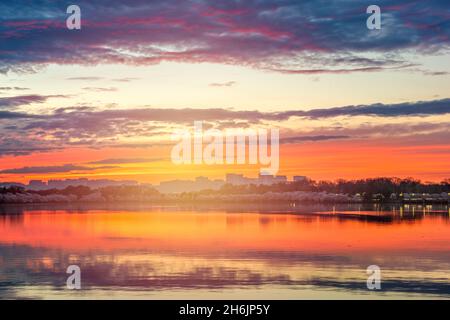 Blick auf Rosslyn, Arlington, Virginia, USA vom Gezeitenbecken in Washington DC in der Dämmerung während der Frühjahrssaison. Stockfoto