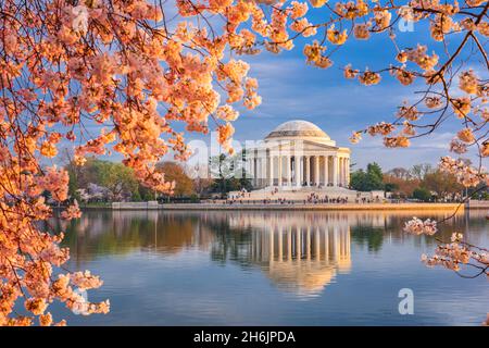 Washington, DC am Tidal Basin und Jefferson Memorial im Frühjahr. Stockfoto