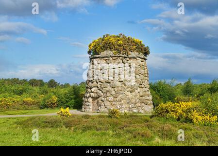 Schlachtfeld von Culloden, Cairn, Monument, Bright Gorse, blauer Himmel, Inverness, Highland, Schottland, Großbritannien Stockfoto