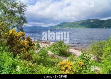 Loch Ness, Blick nach Süden hinunter loch, von der Nähe Dores, ruhige, geheime Südseite von loch, Tourist, Wanderer, Besucher, Change House Trail, Gehen, entführen Stockfoto