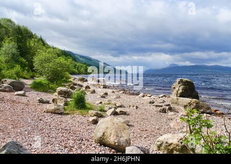 Loch Ness, Blick nach Süden hinunter loch, von der Nähe Dores, ruhige, geheime Südseite von loch, Tourist, Wanderer, Besucher, wunderschön, Licht, Pfad des Änderungshauses Stockfoto