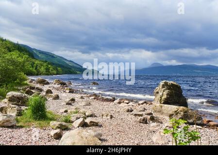 Loch Ness, Blick nach Süden hinunter loch, von der Nähe Dores, ruhige, geheime Südseite von loch, Tourist, Wanderer, Besucher, wunderschön, Licht, Pfad des Änderungshauses Stockfoto