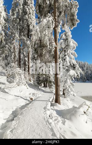 Mummelsee im Winter, Schwarzwald, Baden-Württemberg, Deutschland, Europa Stockfoto