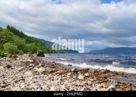 Loch Ness, Blick nach Süden hinunter loch, von der Nähe Dores, ruhige, geheime Südseite von loch, Tourist, Wanderer, Besucher, wunderschön, Licht, Pfad des Änderungshauses Stockfoto