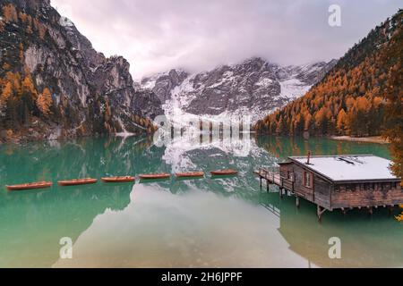 Pragser Wildsee im Herbst von bunten Wäldern umrahmt, Prags (Prags, Provinz Bozen, Südtirol, Italien, Europa Stockfoto
