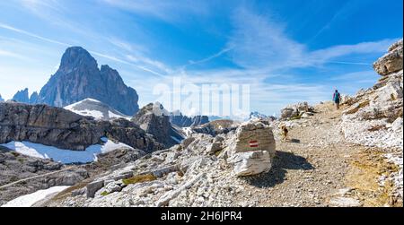 Wanderfrau mit Hund auf dem Weg zum majestätischen Berg Croda dei Toni im Sommer, Sextner Dolomiten, Südtirol, Italien, Europa Stockfoto