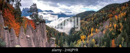 Nebel über den Erdpyramiden und Wald im Herbst, Longomoso, Ritten (Ritten, Bozen, Südtirol, Italien, Europa Stockfoto