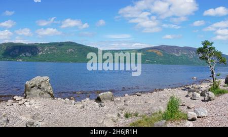 PANORAMA, Loch Ness, Blick über loch, in der Nähe von Dores, schöner sonniger Tag, Geheime Südseite des loch, Tourist, überhängender Baum, Pfad, Spaziergang, Ruhe Stockfoto