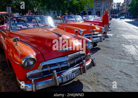 Klassische Oldtimer als Taxis Schlange stehen auf Fahrpreise, Havanna, Kuba, Westindien, Mittelamerika Stockfoto