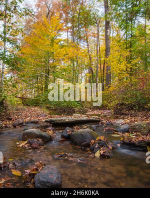 Naturhintergrund einer Langzeitaufnahme eines felsigen Baches im Wald in vollem Herbstlaub. Stockfoto